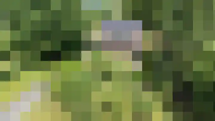 Bovenweg 88 A Doornspijk thumbnail 70