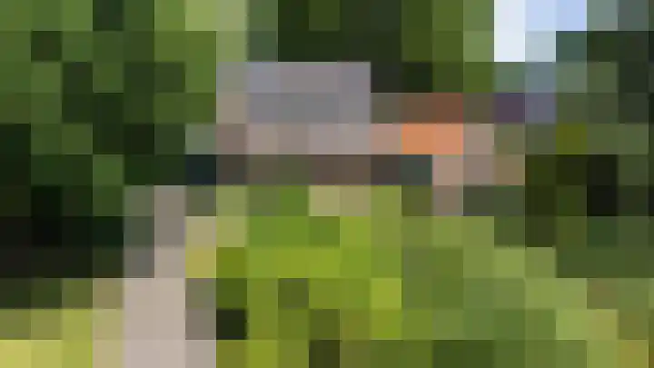 Bovenweg 88 A Doornspijk thumbnail 71