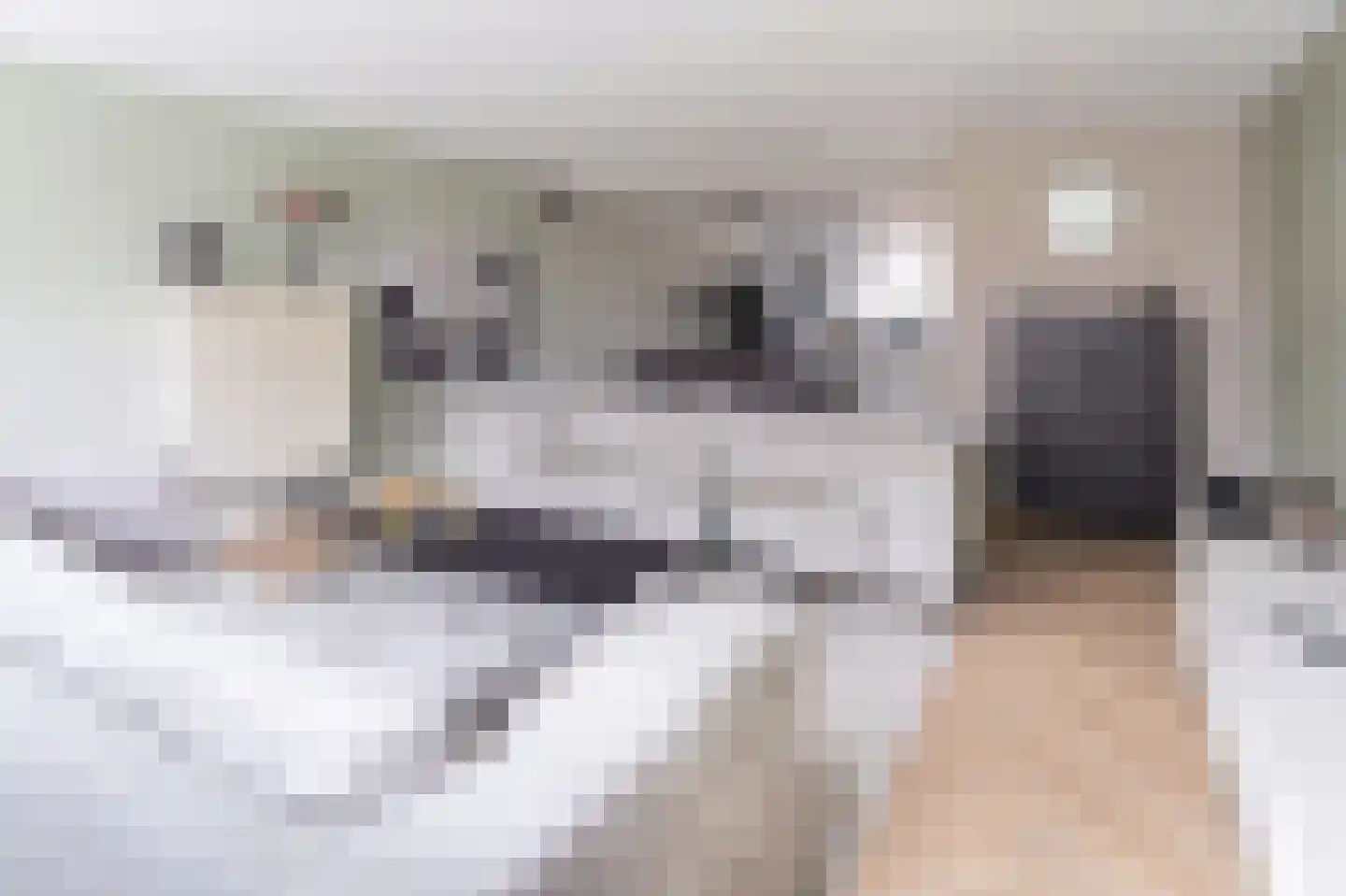 Bovenweid 14 Blokker thumbnail 11