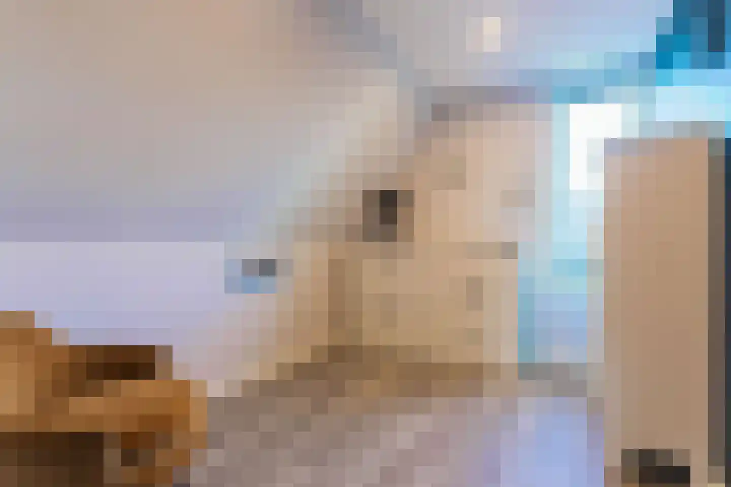 Bovenweid 14 Blokker thumbnail 39