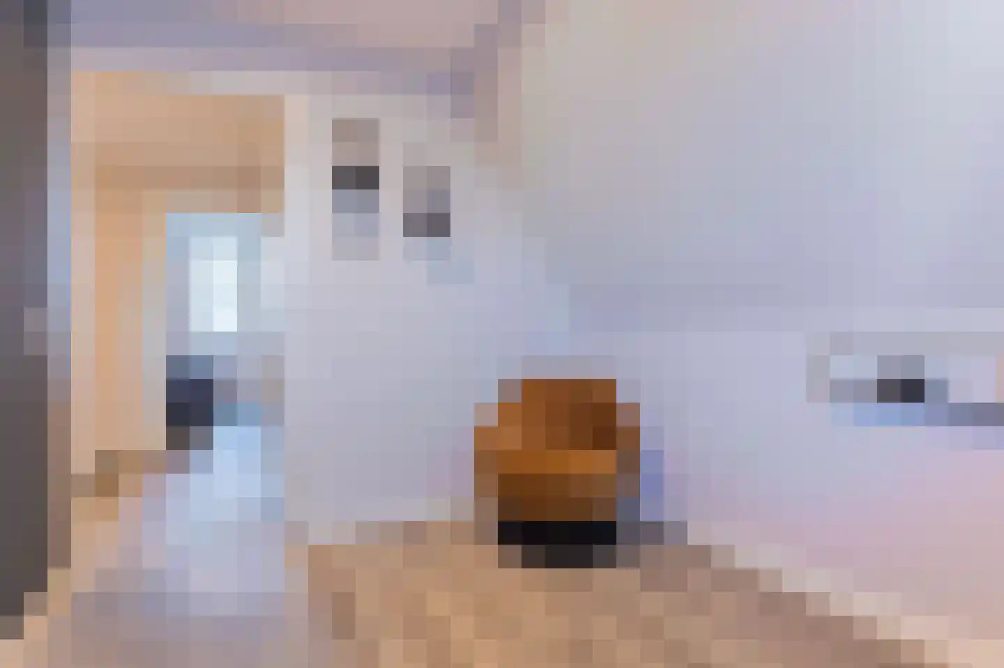 Bovenweid 14 Blokker thumbnail 40