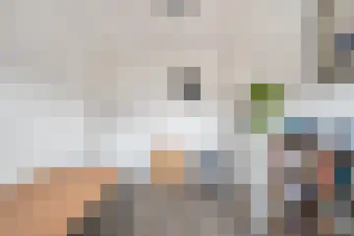 Bovenwiel 20 Wieringerwaard thumbnail 19