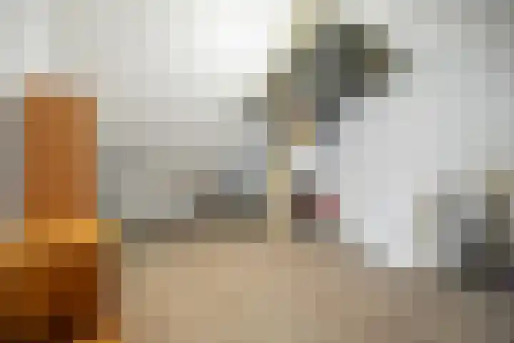 Bovenwiel 20 Wieringerwaard thumbnail 23