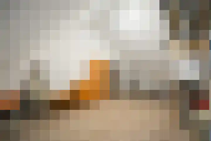 Bovenwiel 20 Wieringerwaard thumbnail 24