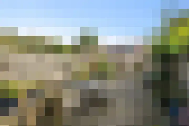 Bovenwiel 20 Wieringerwaard thumbnail 27