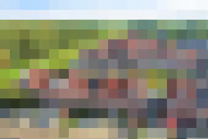 Bovenwiel 20 Wieringerwaard thumbnail 30