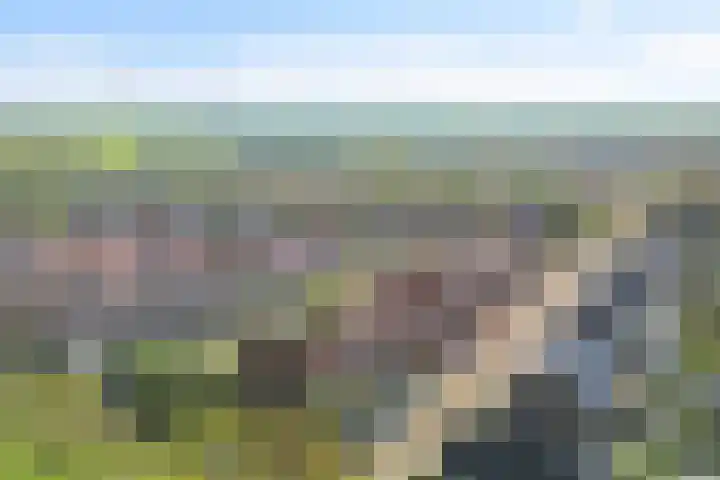 Bovenwiel 20 Wieringerwaard thumbnail 31