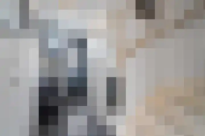 Bovenwiel 20 Wieringerwaard thumbnail 7