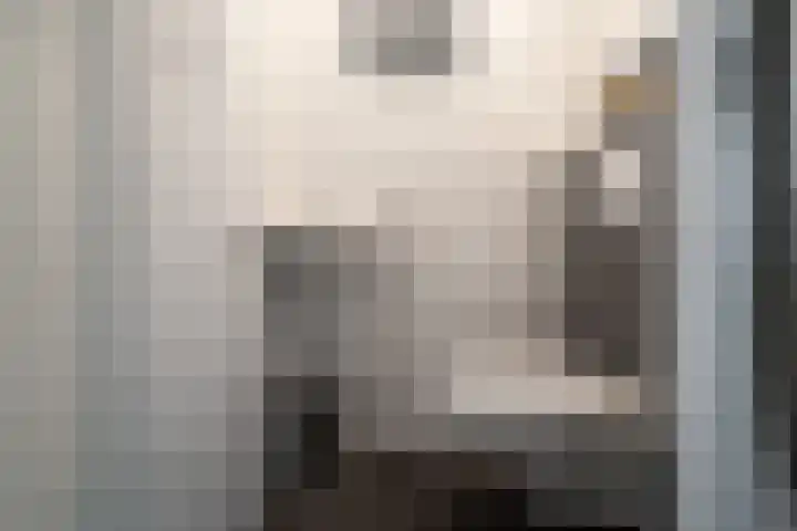 Bovenwiel 20 Wieringerwaard thumbnail 8