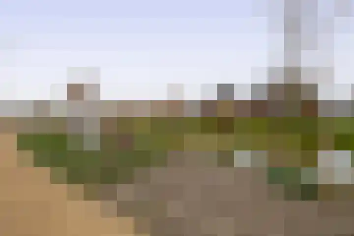Bovenwiel 24 Moerkapelle thumbnail 12
