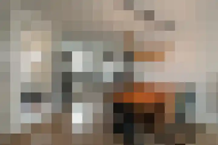 Bovenwiel 24 Wieringerwaard thumbnail 11