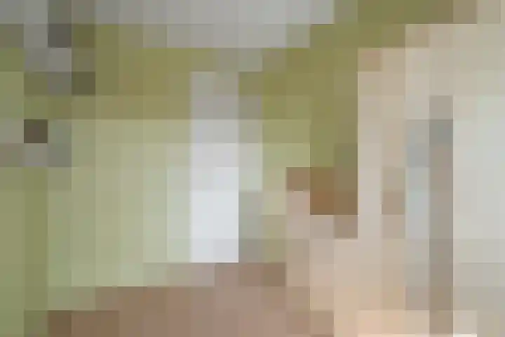 Bovenwiel 24 Wieringerwaard thumbnail 20