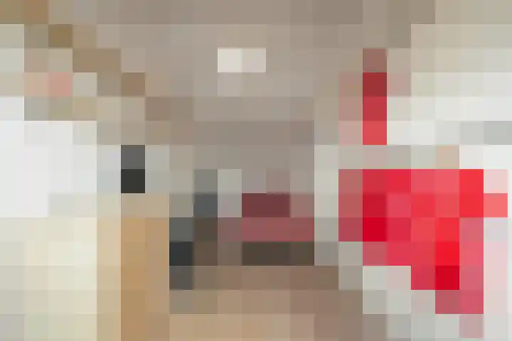 Bovenwiel 24 Wieringerwaard thumbnail 25