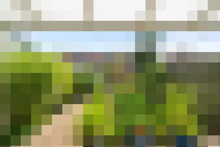 Bovenwiel 24 Wieringerwaard thumbnail 26