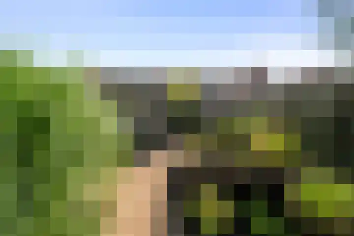 Bovenwiel 24 Wieringerwaard thumbnail 28