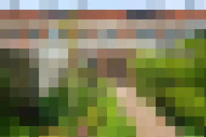 Bovenwiel 24 Wieringerwaard thumbnail 29