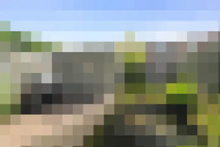 Bovenwiel 24 Wieringerwaard thumbnail 4