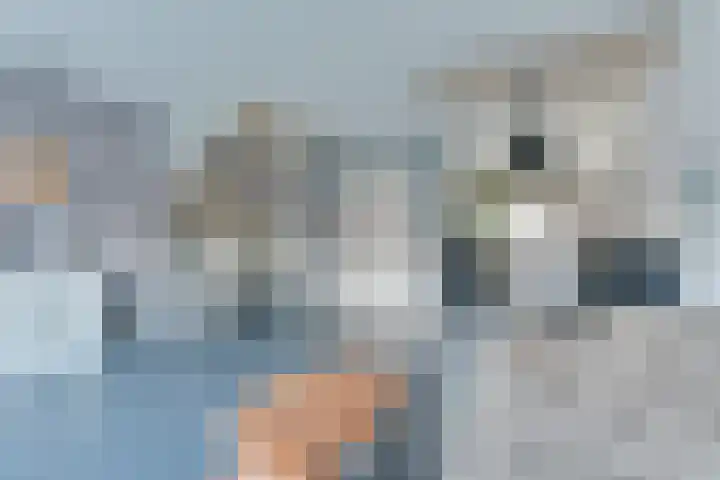 Bovenwiel 32 Wieringerwaard thumbnail 13
