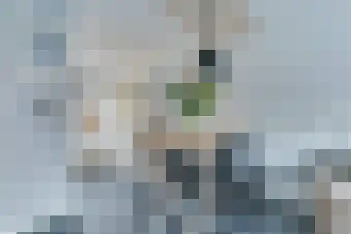 Bovenwiel 32 Wieringerwaard thumbnail 14