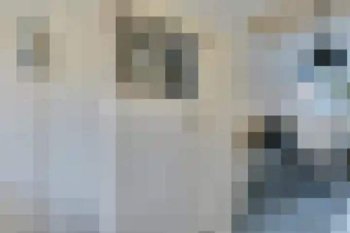 Bovenwiel 32 Wieringerwaard thumbnail 18