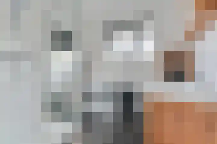 Bovenwiel 32 Wieringerwaard thumbnail 23