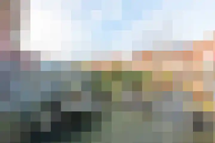 Bovenwiel 32 Wieringerwaard thumbnail 36