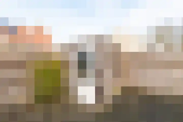 Bovenwiel 32 Wieringerwaard thumbnail 39