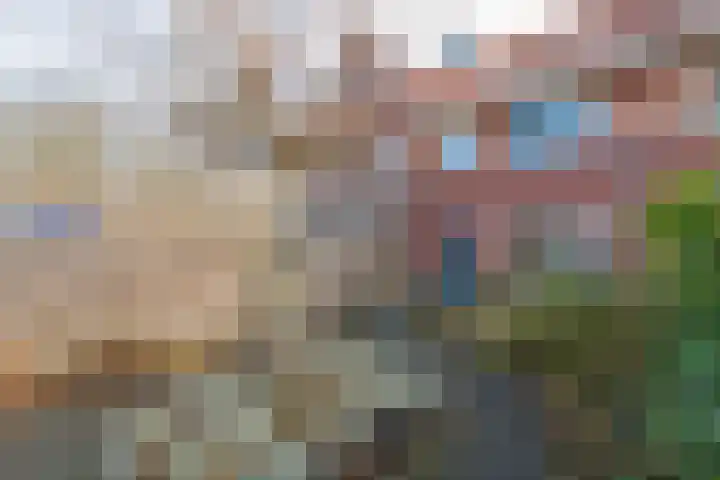 Bovenwiel 32 Wieringerwaard thumbnail 41