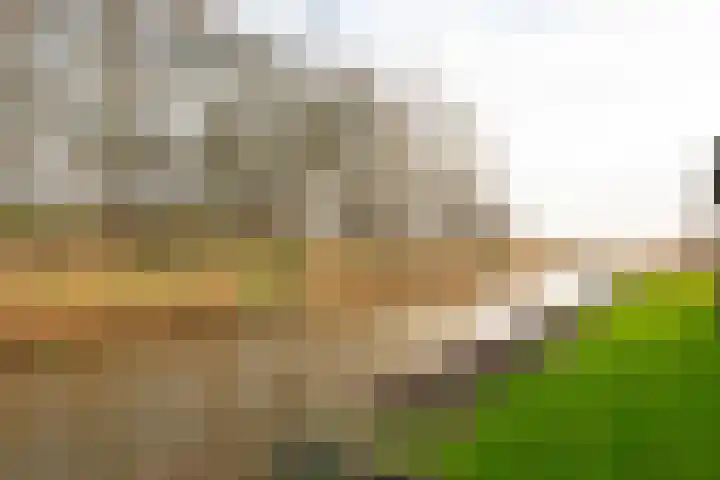 Bovenwiel 32 Wieringerwaard thumbnail 45