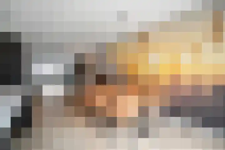 Bovenwiel 7 Wieringerwaard thumbnail 14
