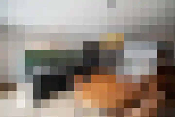 Bovenwiel 7 Wieringerwaard thumbnail 15