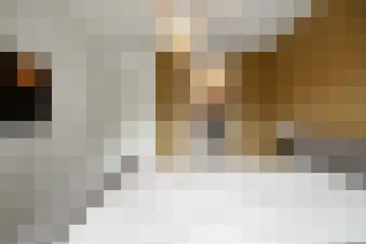 Bovenwiel 7 Wieringerwaard thumbnail 17