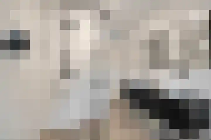 Bovenwiel 7 Wieringerwaard thumbnail 19
