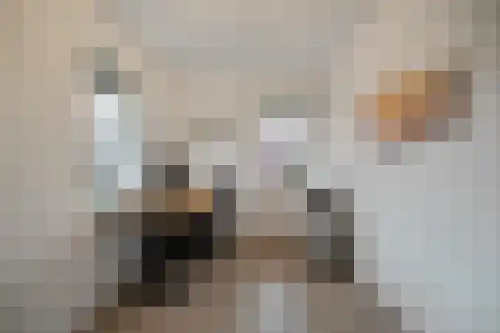 Bovenwiel 7 Wieringerwaard thumbnail 23