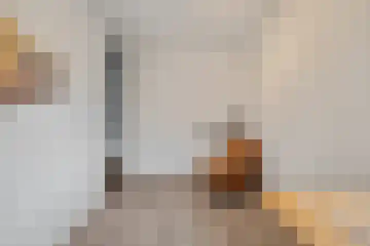 Bovenwiel 7 Wieringerwaard thumbnail 24
