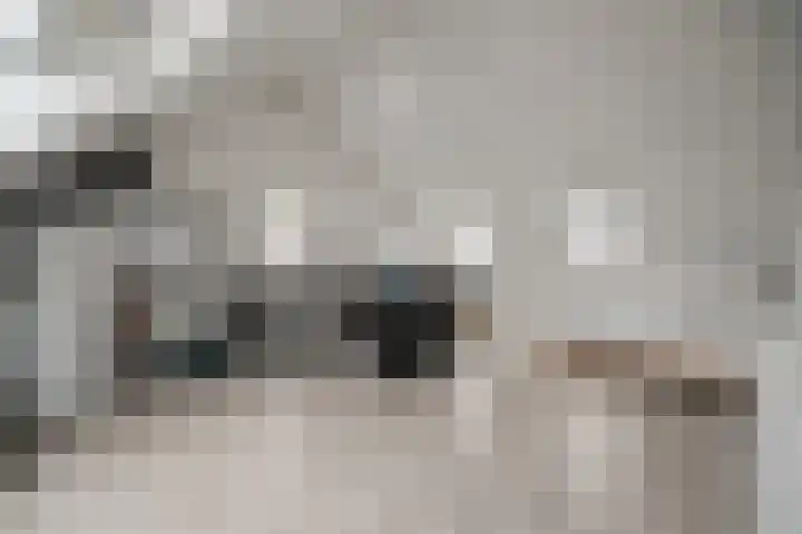 Bovenwiel 7 Wieringerwaard thumbnail 25