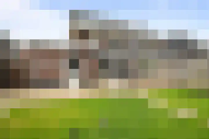 Bovenwiel 7 Wieringerwaard thumbnail 29