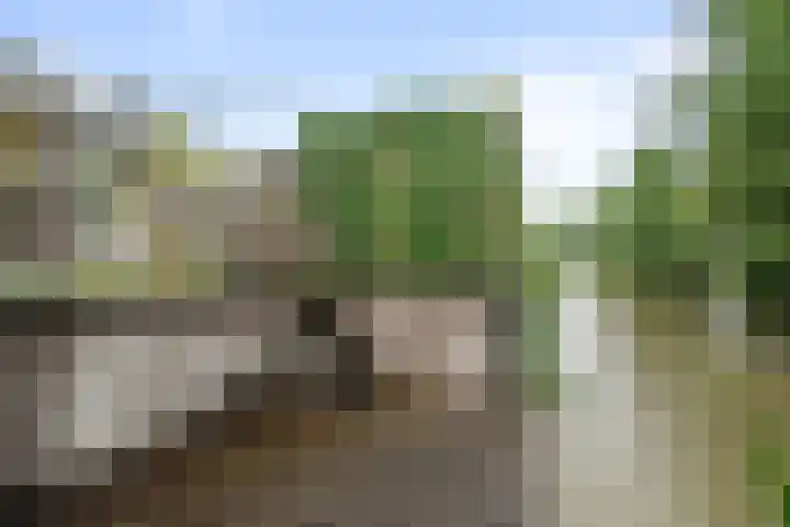Bovenwiel 7 Wieringerwaard thumbnail 30