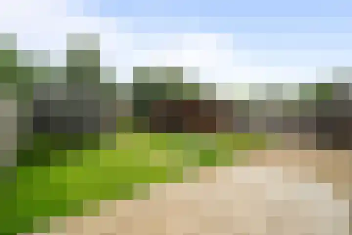Bovenwiel 7 Wieringerwaard thumbnail 4