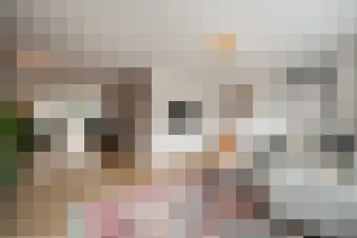 Bovenwiel 7 Wieringerwaard thumbnail 9