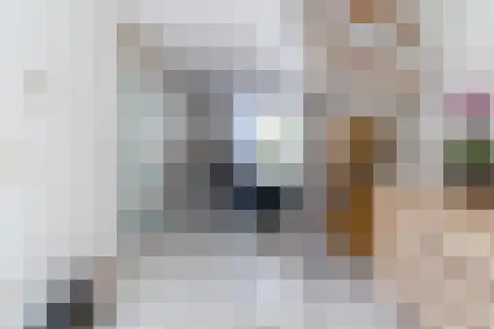 Bovenwielstraat 2 c Culemborg thumbnail 10