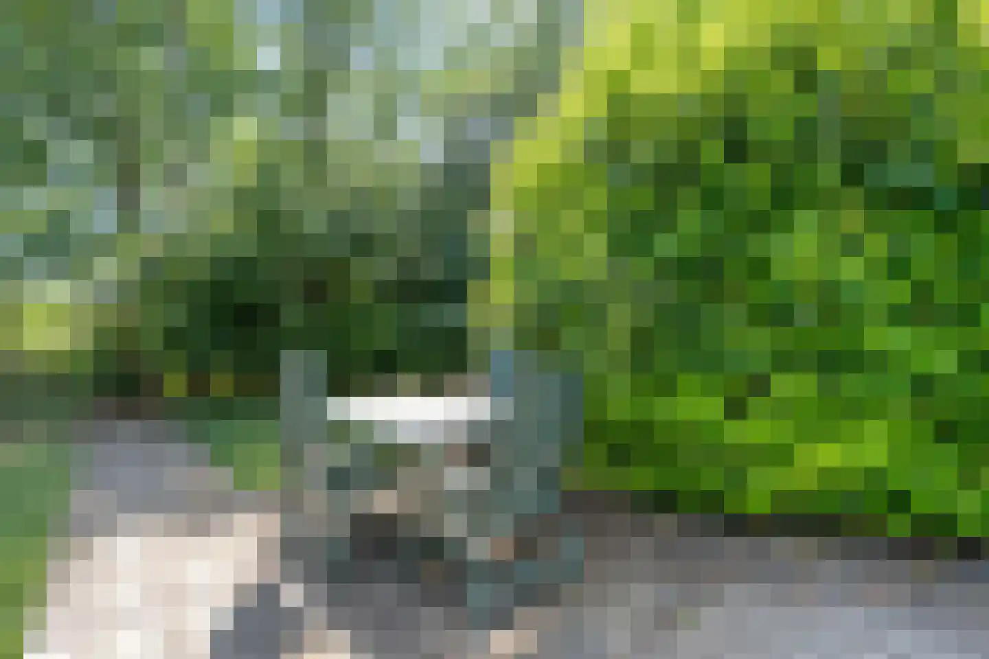 Bovenwijde 1 Giethoorn thumbnail 24