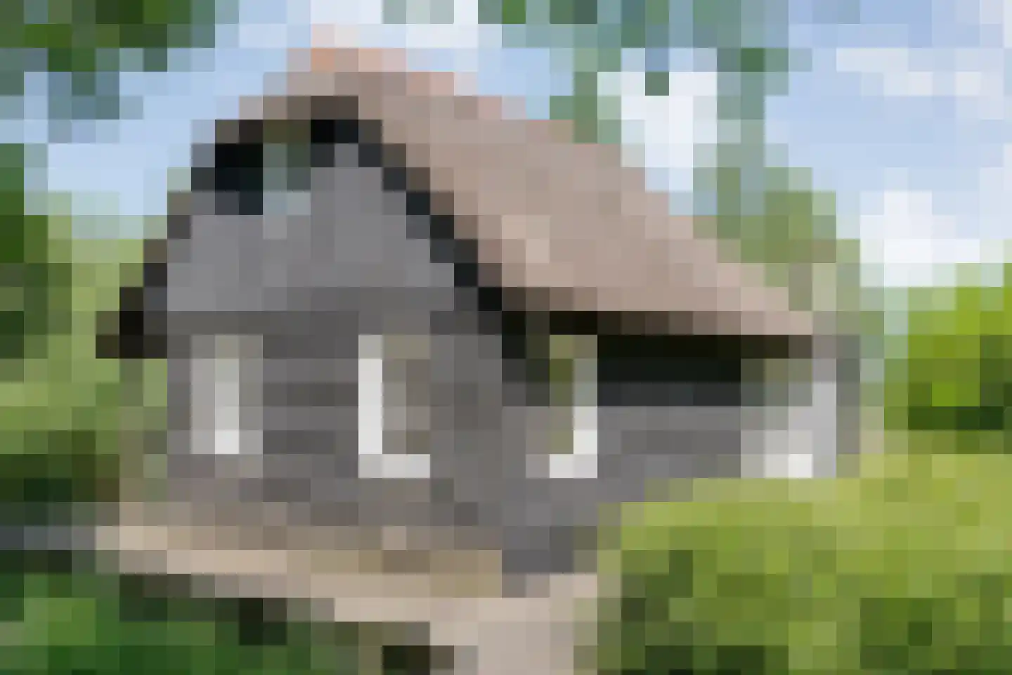Bovenwijde 1 Giethoorn thumbnail 26