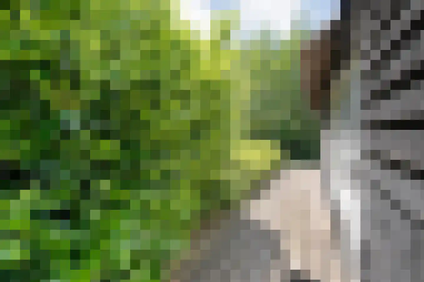 Bovenwijde 1 Giethoorn thumbnail 27