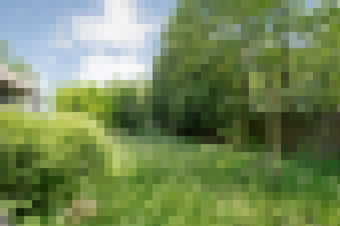 Bovenwijde 1 Giethoorn thumbnail 28