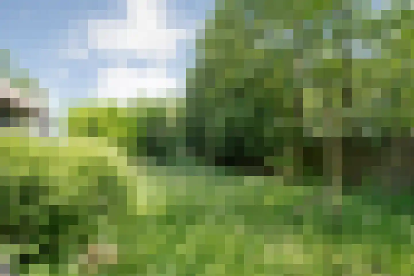 Bovenwijde 1 Giethoorn thumbnail 29