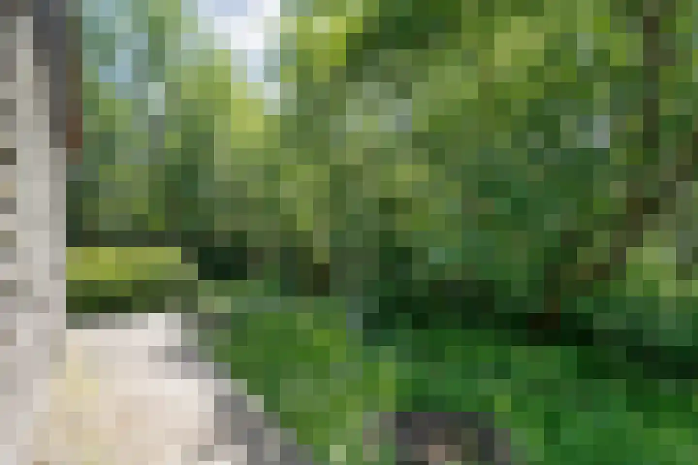 Bovenwijde 1 Giethoorn thumbnail 33