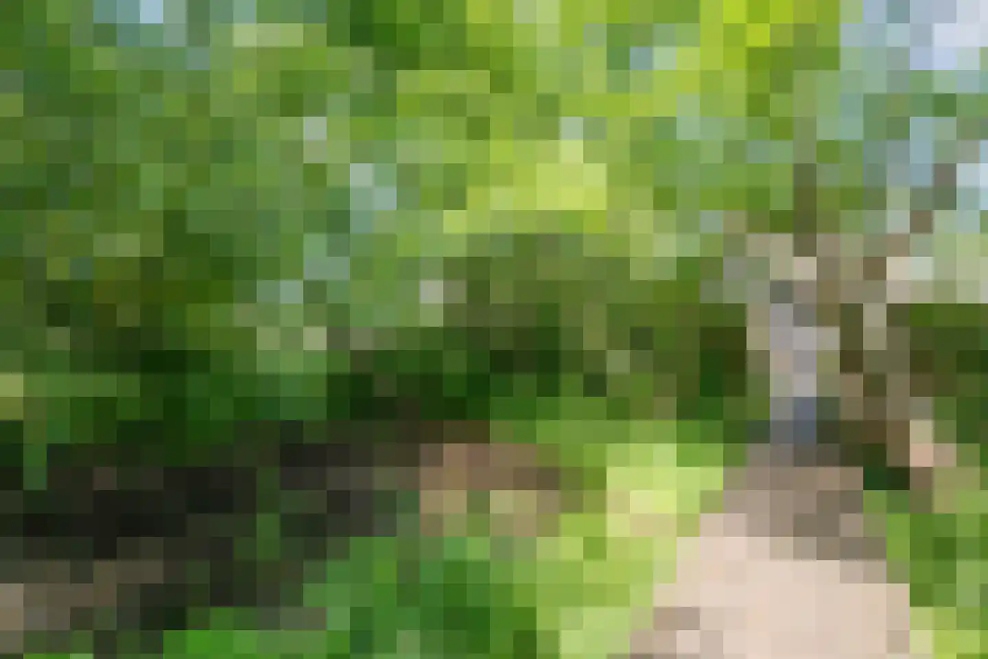 Bovenwijde 1 Giethoorn thumbnail 34