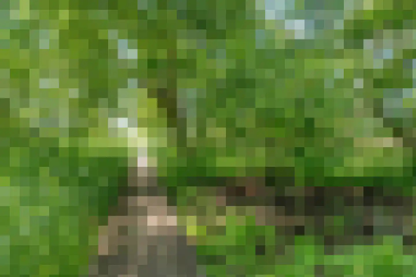 Bovenwijde 1 Giethoorn thumbnail 35