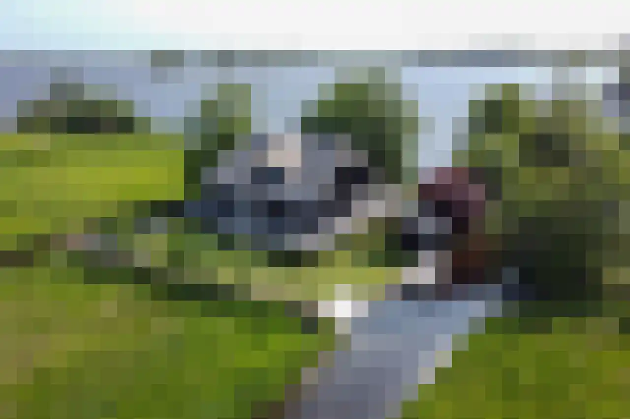 Bovenwijde 14 R Giethoorn thumbnail 14
